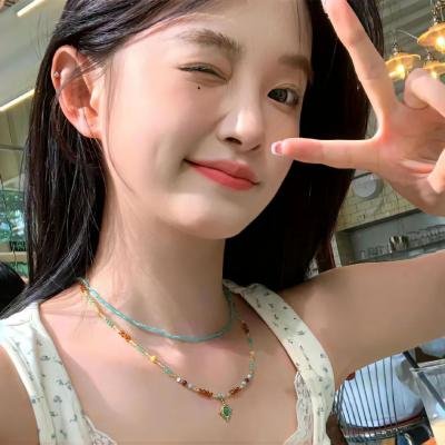 狗纹龙爸爸